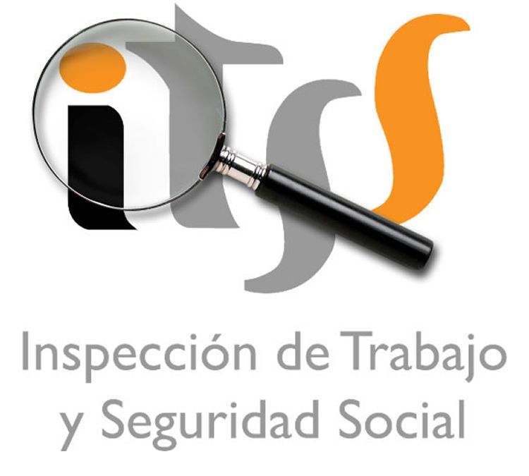 Inspecciones de trabajo en las empresas Inspecciones de trabajo en las empresas